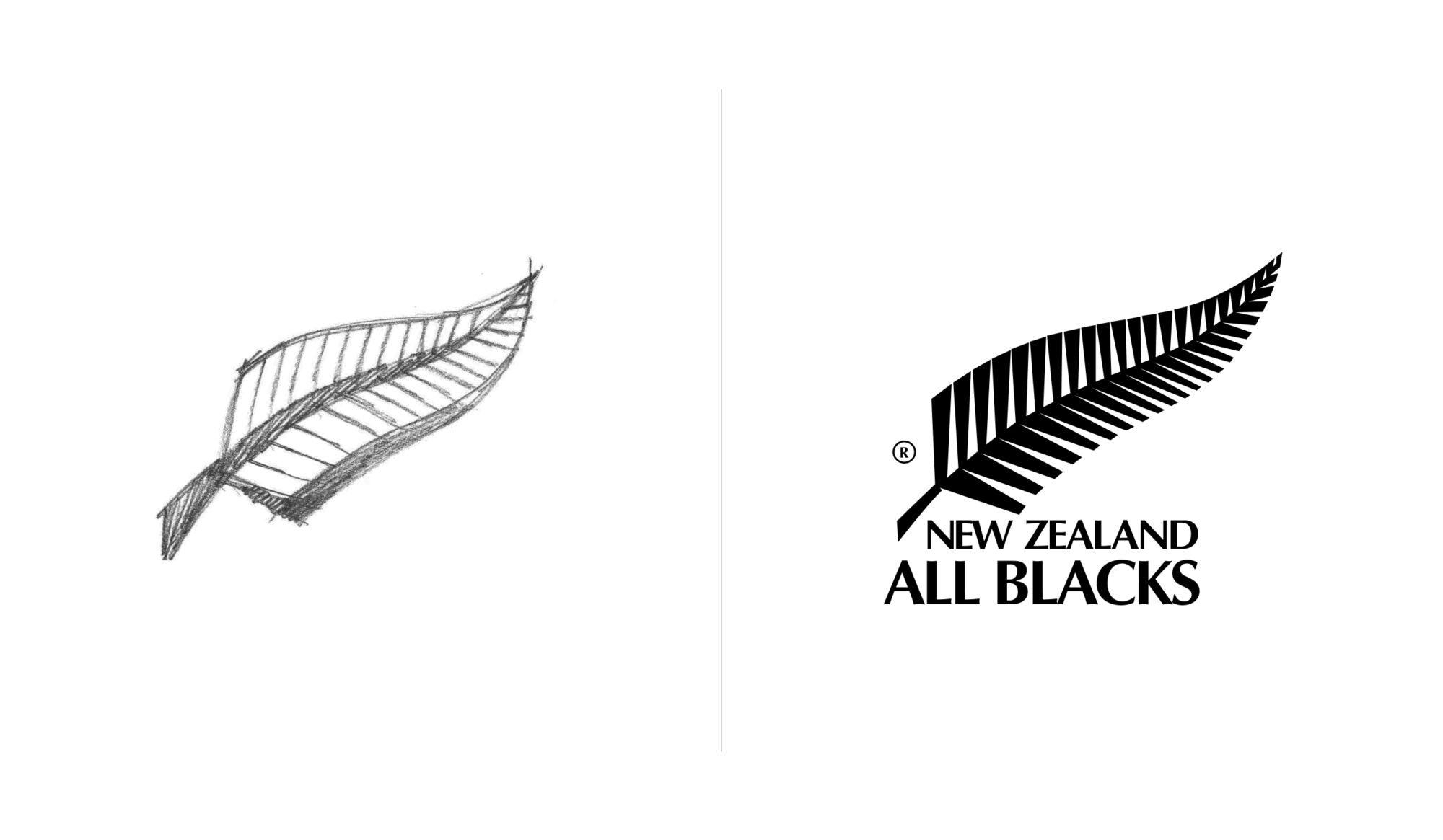 all-blacks-silver-fern-dave-clark The All Blacks silver fern, designed by Dave Clark